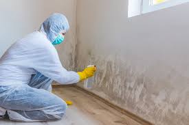 Best Mold Damage Restoration  in Bartlett, IL